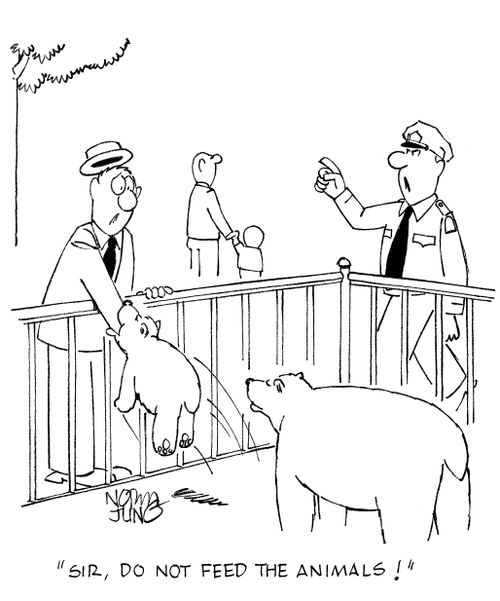 'Sir, do not feed the animals!'