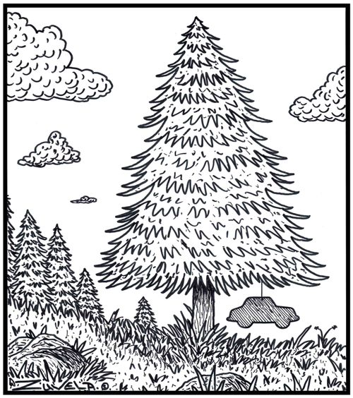 The Pine tree's version of a car air freshener.
