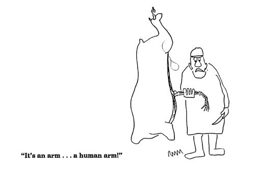 'It's an arm...a human arm!'