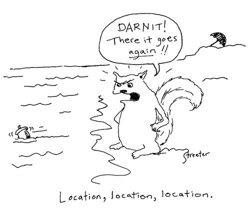 Squirrel on the beach