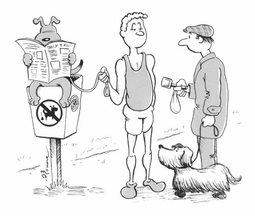 Dog sitting atop a doggy waste bin