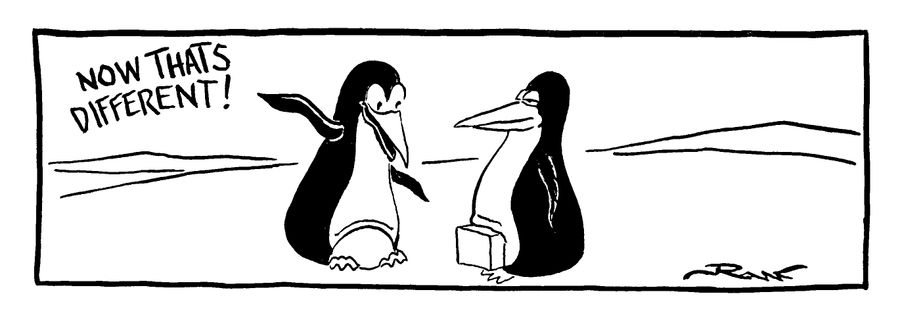 Penguin with square egg - "Now that's different."