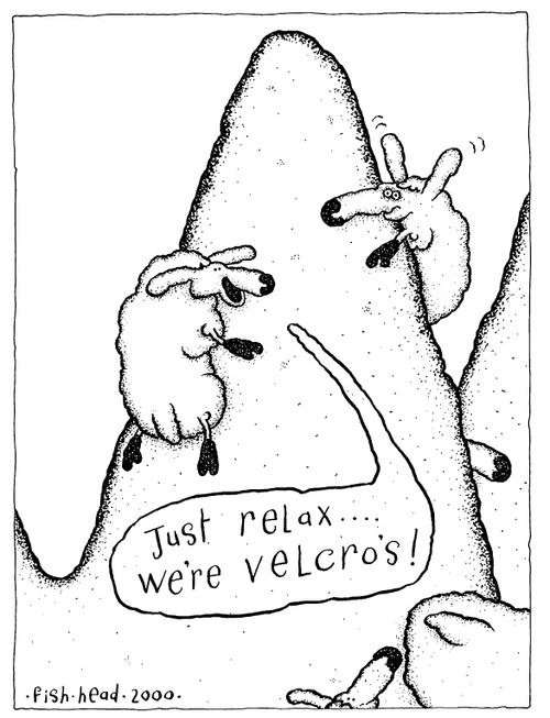 Sheep "Just relax we're velcro's!"