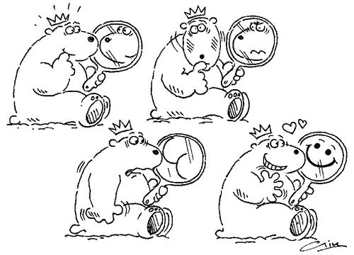 Crowned bear reacting to different reflections in a mirror