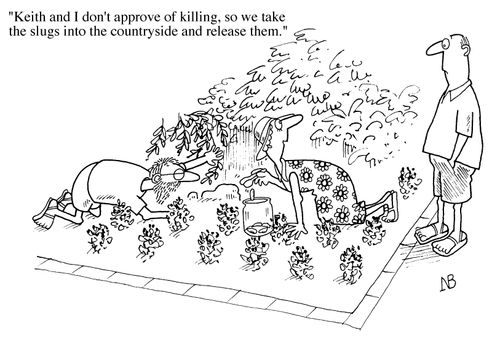 "....We take the slugs into the countryside and release them."