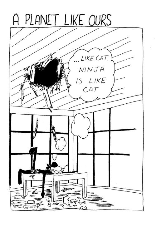 Ninja collapsed through ceiling onto table thinking "...like cat. Ninja is like cat."