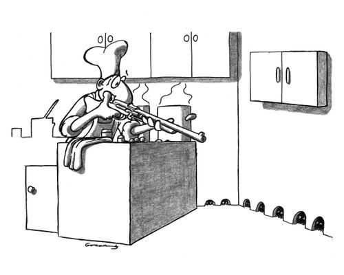 Mouse hunt.