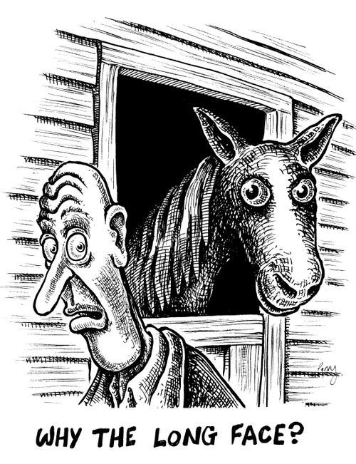 'Why the long face?'
