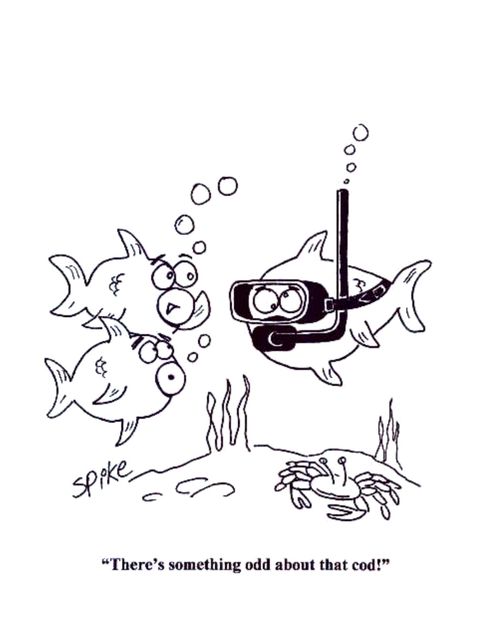 'There's something odd about that cod...!'
