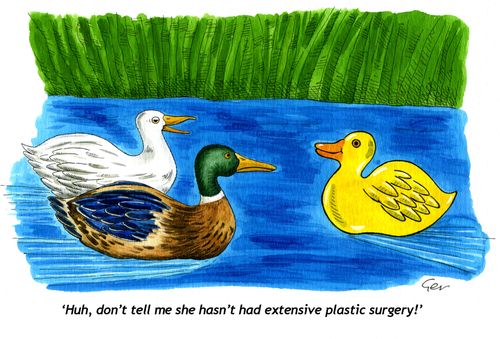 'Don't tell me she hasn't had plastic surgery!'