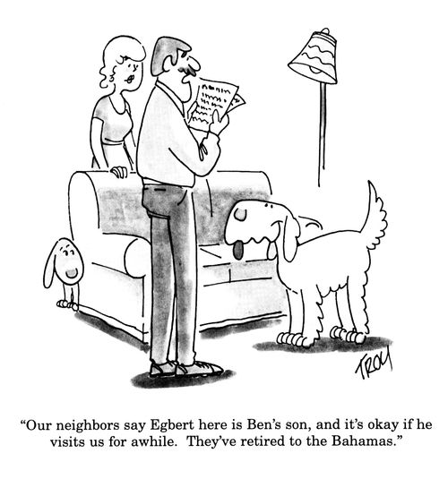'Our neighbours say Egbert here is Ben's son, and it's okay if he visits us for awhile. They've retired to the Bahamas.'