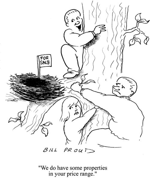 'We do have some properties in your price range.' (climbing tree to view a nest).