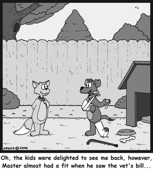 "Oh, the kids were delighted to see me back, however, Master almost had a fit when he saw the vet's bill..."