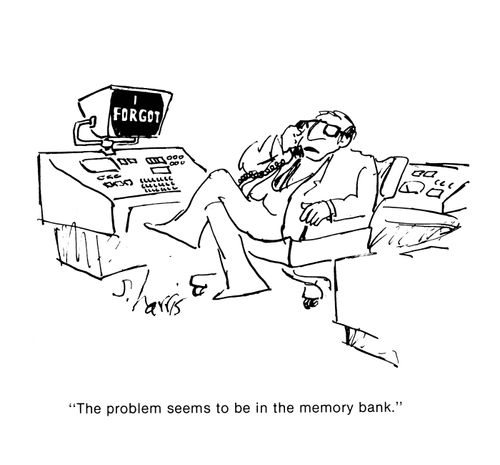 'The problem seems to be in the memory bank.'