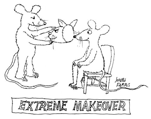 Extreme Makeover.