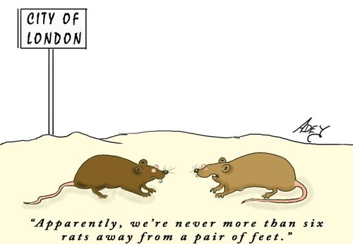 "Apparently, we're never more than six rats away from a pair of feet."