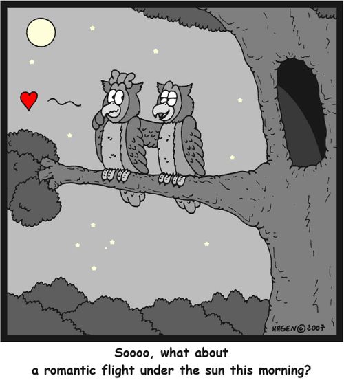 'Soooo, what about a romantic flight under the sun this morning?'