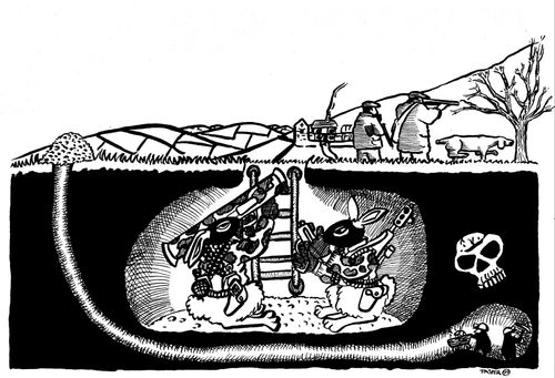 Rabbit's revenge
