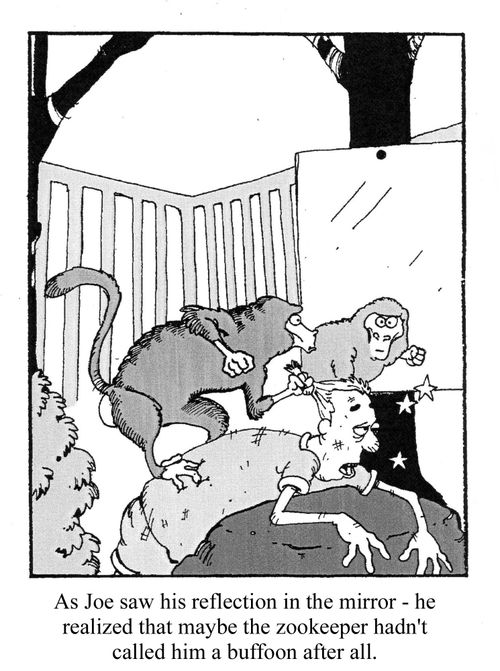 AS Joe saw his reflection in the mirror - he realized that maybe the zookeeper hadn't called him a buffoon after all.