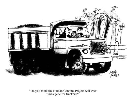 'Do you think the human genome project will ever find a gene for truckers?'