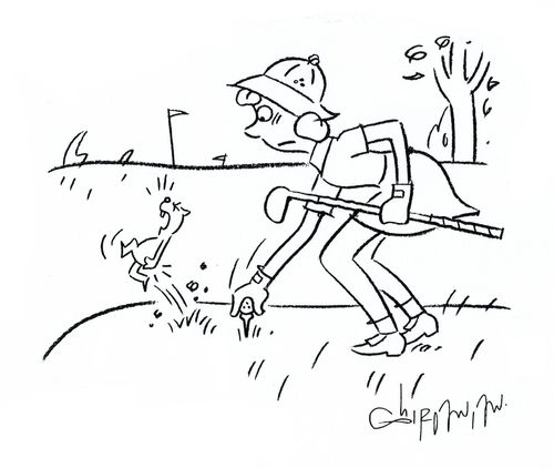 Gopher underground hit by golf tee.