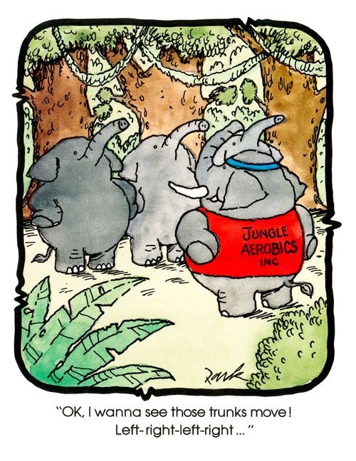 'OK, I wanna see those trunks move! Left, right, left, right...'