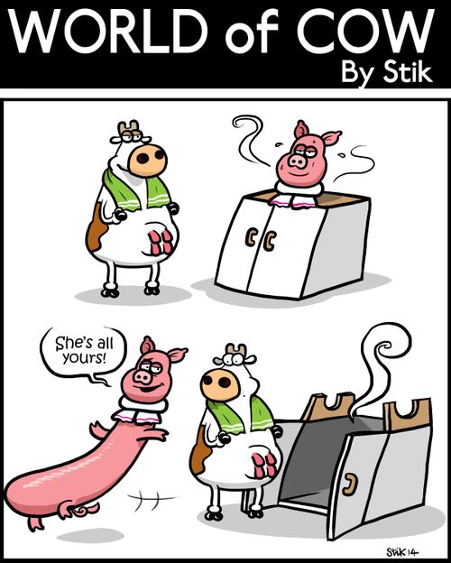 Steaming Pig.
