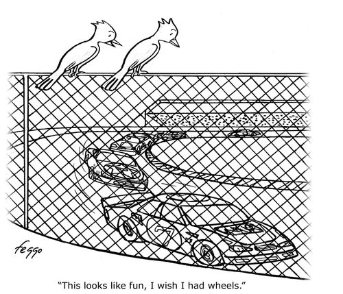 Birds watching car race wishing they had wheels.