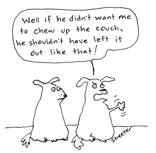 Dog: If he hadn't wanted me to chew up the couch...