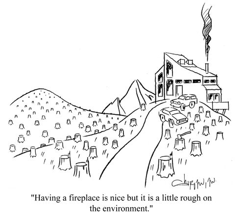 'Having a fireplace is nice, but it is a little rough on the environment.'