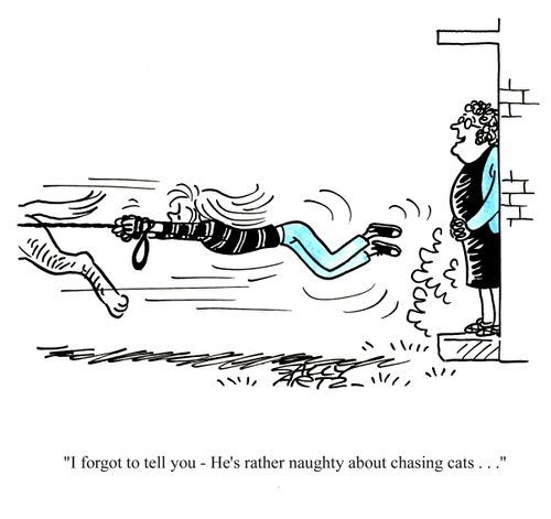 'I forgot to tell you - He's rather naughty about chasing cats...'