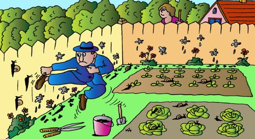 The Karate Gardener