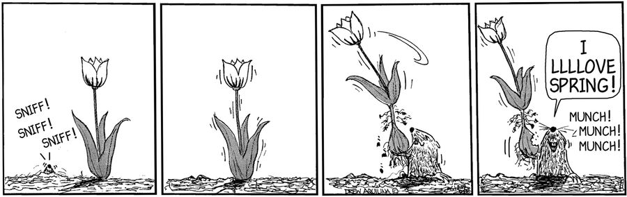 I Love spring!