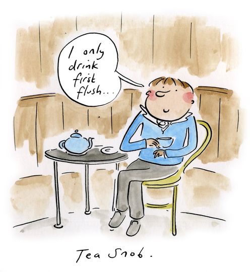 Tea Snob.