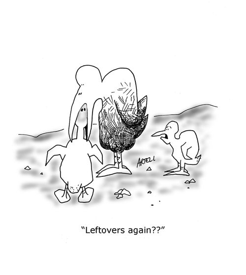 Baby bird says, 'Leftovers again??'