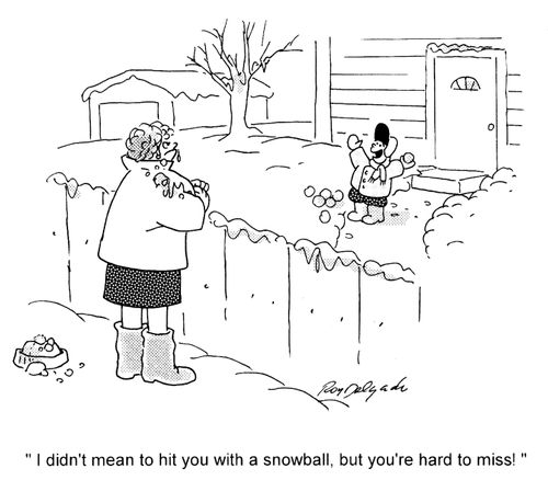 'I didn't mean to hit you with a snowball, but you're hard to miss!'