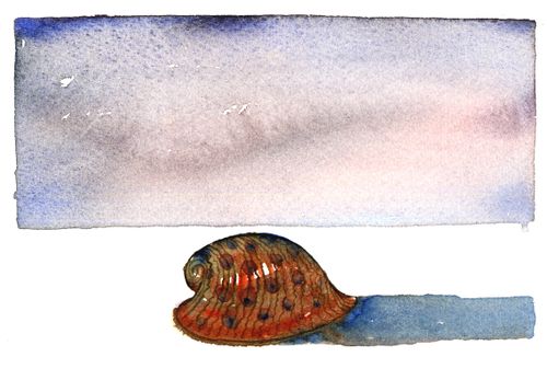 Shell leaving a trail.