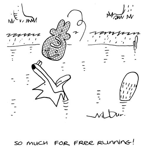 'So much for free running!'