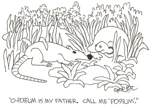 'O-possum is my father.  Call me 'possum'.'