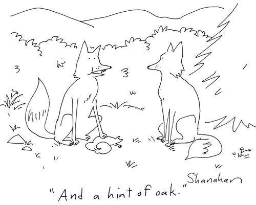 'And a hint of oak.'