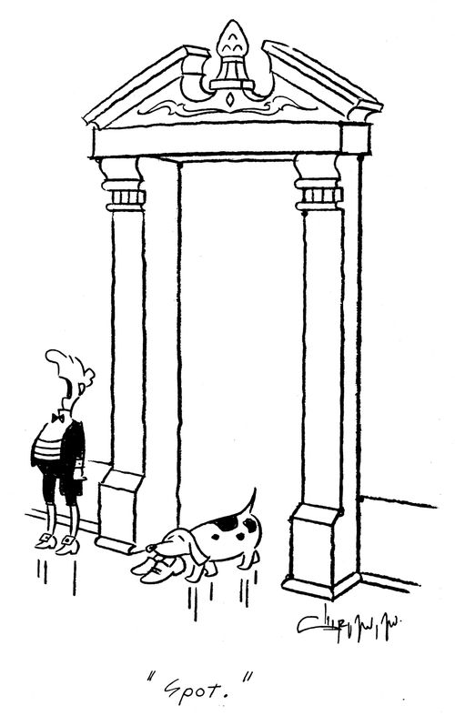 'Spot.'
