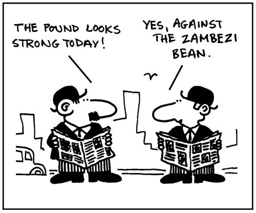 'The pound looks strong to day. Yes, against the Zambesi bean.'