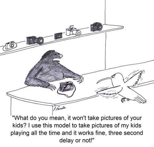 'What do you mean, it won't take pictures of your kids? I use this model to take pictures of my kids playing all the time and it works fine, three second delay or not!'