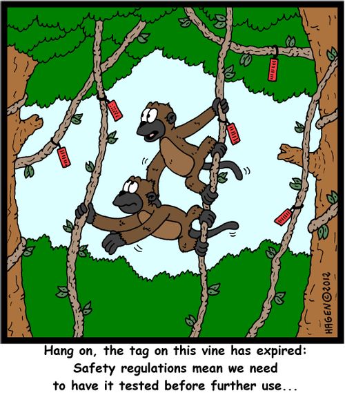 'Hang on, the tag on this vine has expired: Safety regulations mean we need to have it tested before further use...'