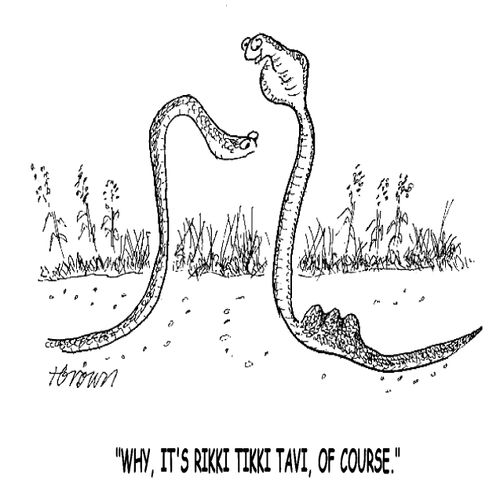 'Why, it's rikki tikki tavi, of course.'