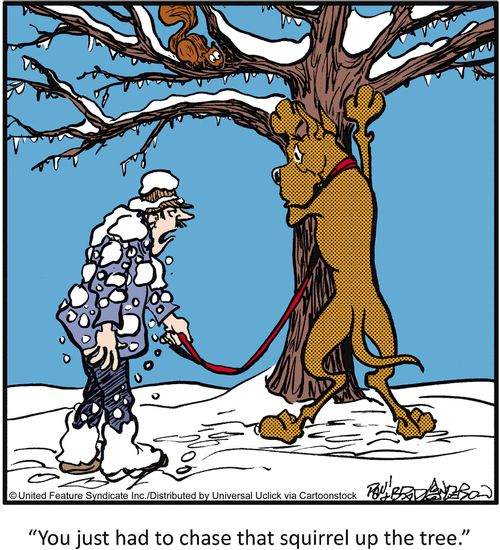 'You just had to chase that squirrel up the tree.'