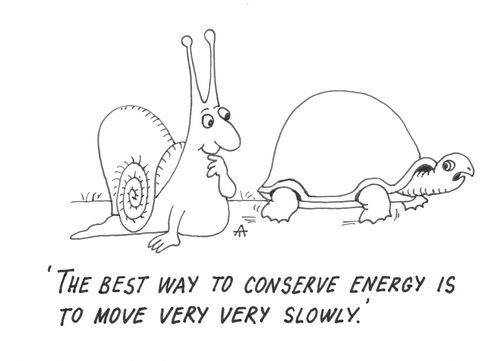 'The best way to conserve energy is to move very very slowly.'