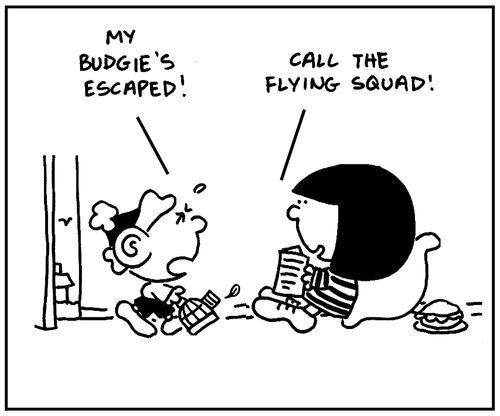 'My budgie's escaped.'