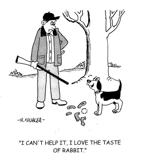 'I can't help it, I love the taste of rabbit.'