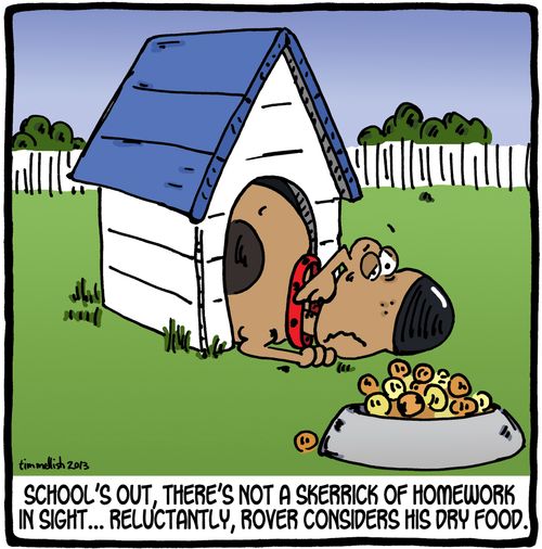 School's out, there's not a skerrick of homework in sight...reluctantly, Rover considers his dry food.